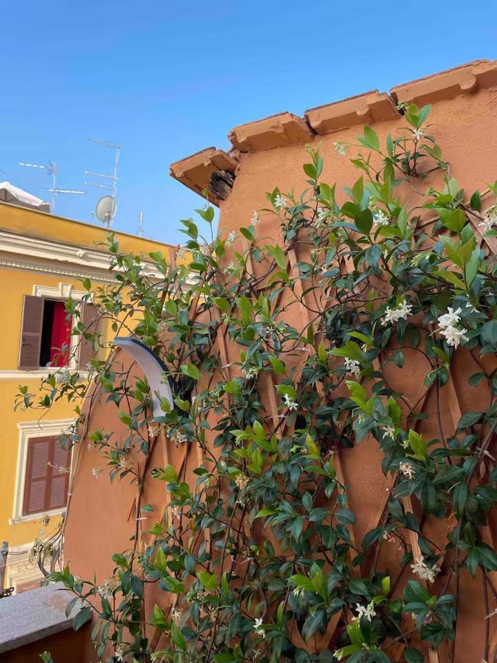 Piccola Hospedagem domiciliar Roma